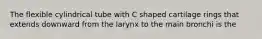 The flexible cylindrical tube with C shaped cartilage rings that extends downward from the larynx to the main bronchi is the