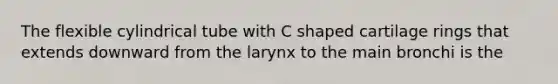 The flexible cylindrical tube with C shaped cartilage rings that extends downward from the larynx to the main bronchi is the