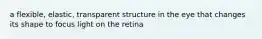 a flexible, elastic, transparent structure in the eye that changes its shape to focus light on the retina