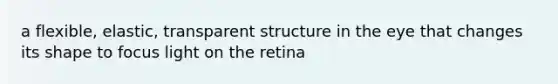 a flexible, elastic, transparent structure in the eye that changes its shape to focus light on the retina