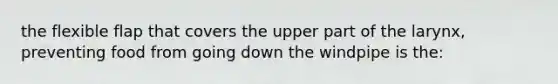 the flexible flap that covers the upper part of the larynx, preventing food from going down the windpipe is the: