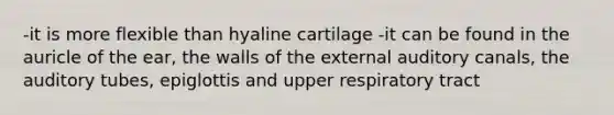 -it is more flexible than hyaline cartilage -it can be found in the auricle of the ear, the walls of the external auditory canals, the auditory tubes, epiglottis and upper respiratory tract