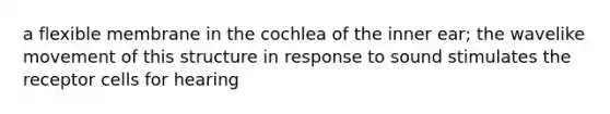 a flexible membrane in the cochlea of the inner ear; the wavelike movement of this structure in response to sound stimulates the receptor cells for hearing