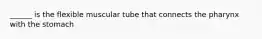 ______ is the flexible muscular tube that connects the pharynx with the stomach