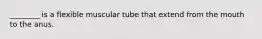 ________ is a flexible muscular tube that extend from the mouth to the anus.