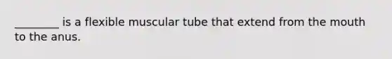 ________ is a flexible muscular tube that extend from the mouth to the anus.