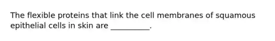 The flexible proteins that link the cell membranes of squamous epithelial cells in skin are __________.