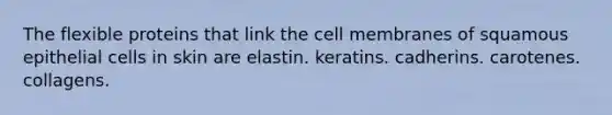 The flexible proteins that link the cell membranes of squamous epithelial cells in skin are elastin. keratins. cadherins. carotenes. collagens.