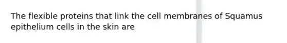 The flexible proteins that link the cell membranes of Squamus epithelium cells in the skin are