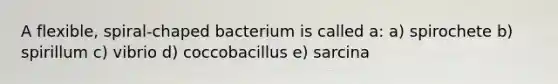 A flexible, spiral-chaped bacterium is called a: a) spirochete b) spirillum c) vibrio d) coccobacillus e) sarcina