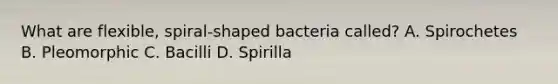 What are flexible, spiral-shaped bacteria called? A. Spirochetes B. Pleomorphic C. Bacilli D. Spirilla