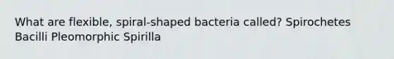 What are flexible, spiral-shaped bacteria called? Spirochetes Bacilli Pleomorphic Spirilla