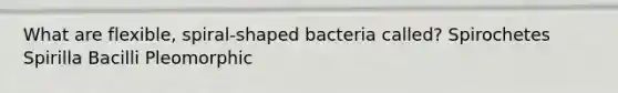 What are flexible, spiral-shaped bacteria called? Spirochetes Spirilla Bacilli Pleomorphic