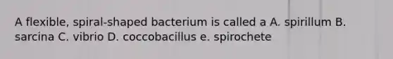 A flexible, spiral-shaped bacterium is called a A. spirillum B. sarcina C. vibrio D. coccobacillus e. spirochete