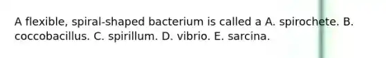 A flexible, spiral-shaped bacterium is called a A. spirochete. B. coccobacillus. C. spirillum. D. vibrio. E. sarcina.