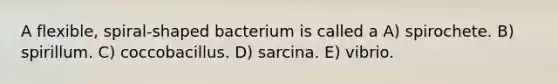 A flexible, spiral-shaped bacterium is called a A) spirochete. B) spirillum. C) coccobacillus. D) sarcina. E) vibrio.