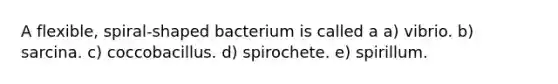 A flexible, spiral-shaped bacterium is called a a) vibrio. b) sarcina. c) coccobacillus. d) spirochete. e) spirillum.