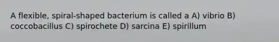 A flexible, spiral-shaped bacterium is called a A) vibrio B) coccobacillus C) spirochete D) sarcina E) spirillum