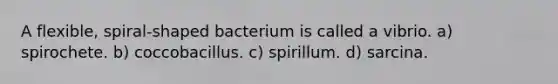 A flexible, spiral-shaped bacterium is called a vibrio. a) spirochete. b) coccobacillus. c) spirillum. d) sarcina.