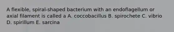 A flexible, spiral-shaped bacterium with an endoflagellum or axial filament is called a A. coccobacillus B. spirochete C. vibrio D. spirillum E. sarcina