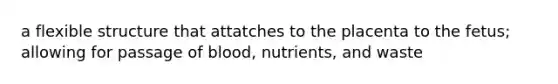 a flexible structure that attatches to the placenta to the fetus; allowing for passage of blood, nutrients, and waste