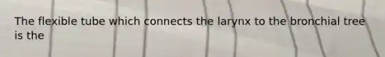 The flexible tube which connects the larynx to the bronchial tree is the