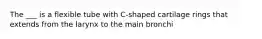 The ___ is a flexible tube with C-shaped cartilage rings that extends from the larynx to the main bronchi