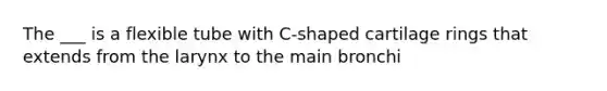 The ___ is a flexible tube with C-shaped cartilage rings that extends from the larynx to the main bronchi