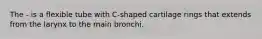 The - is a flexible tube with C-shaped cartilage rings that extends from the larynx to the main bronchi.