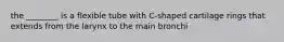 the ________ is a flexible tube with C-shaped cartilage rings that extends from the larynx to the main bronchi