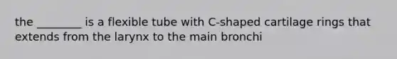 the ________ is a flexible tube with C-shaped cartilage rings that extends from the larynx to the main bronchi
