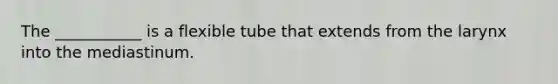 The ___________ is a flexible tube that extends from the larynx into the mediastinum.