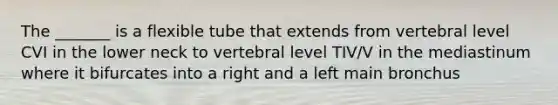 The _______ is a flexible tube that extends from vertebral level CVI in the lower neck to vertebral level TIV/V in the mediastinum where it bifurcates into a right and a left main bronchus