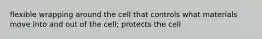 flexible wrapping around the cell that controls what materials move into and out of the cell; protects the cell