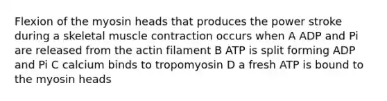 Flexion of the myosin heads that produces the power stroke during a skeletal <a href='https://www.questionai.com/knowledge/k0LBwLeEer-muscle-contraction' class='anchor-knowledge'>muscle contraction</a> occurs when A ADP and Pi are released from the actin filament B ATP is split forming ADP and Pi C calcium binds to tropomyosin D a fresh ATP is bound to the myosin heads