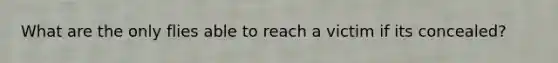 What are the only flies able to reach a victim if its concealed?