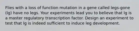 Flies with a loss of function mutation in a gene called legs-gone (lg) have no legs. Your experiments lead you to believe that lg is a master regulatory transcription factor. Design an experiment to test that lg is indeed sufficient to induce leg development.