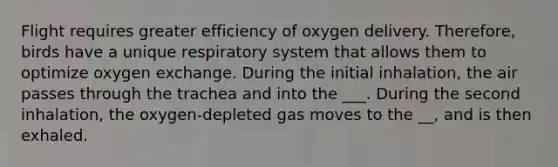 Flight requires greater efficiency of oxygen delivery. Therefore, birds have a unique respiratory system that allows them to optimize oxygen exchange. During the initial inhalation, the air passes through the trachea and into the ___. During the second inhalation, the oxygen-depleted gas moves to the __, and is then exhaled.