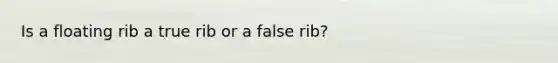 Is a floating rib a true rib or a false rib?