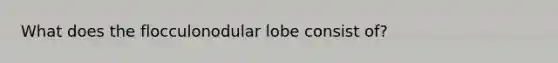 What does the flocculonodular lobe consist of?