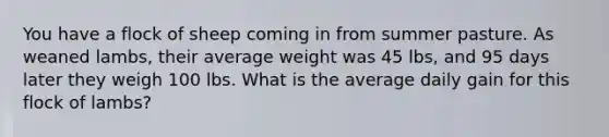You have a flock of sheep coming in from summer pasture. As weaned lambs, their average weight was 45 lbs, and 95 days later they weigh 100 lbs. What is the average daily gain for this flock of lambs?