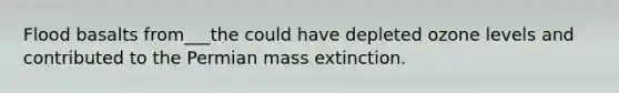 Flood basalts from___the could have depleted ozone levels and contributed to the Permian mass extinction.​