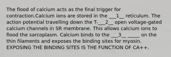 The flood of calcium acts as the final trigger for contraction.Calcium ions are stored in the ___1__ reticulum. The action potential travelling down the T-___2__ open voltage-gated calcium channels in SR membrane. This allows calcium ions to flood the sarcoplasm. Calcium binds to the ___3__ _____ on the thin filaments and exposes the binding sites for myosin. EXPOSING THE BINDING SITES IS THE FUNCTION OF CA++.