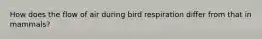 How does the flow of air during bird respiration differ from that in mammals?