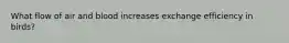 What flow of air and blood increases exchange efficiency in birds?