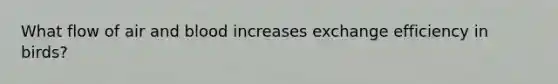 What flow of air and blood increases exchange efficiency in birds?