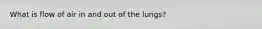 What is flow of air in and out of the lungs?