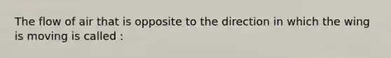 The flow of air that is opposite to the direction in which the wing is moving is called :