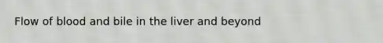 Flow of blood and bile in the liver and beyond