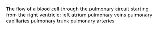 The flow of a blood cell through the pulmonary circuit starting from the right ventricle: left atrium pulmonary veins pulmonary capillaries pulmonary trunk pulmonary arteries